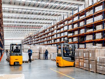 Depoda forkliftler ve çalışanlar var.