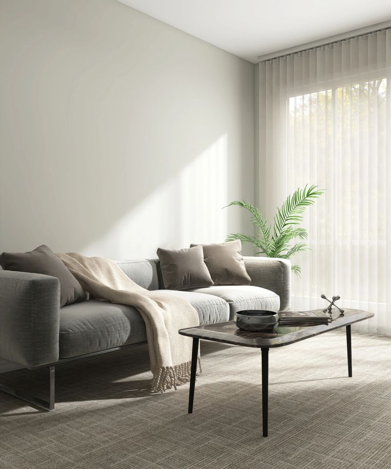 Gray modern sofa, plant, coffee table on carpet floor by white vertical blinds window in minimal living room in sunlight on wall for luxury interior design decoration, product background 3D