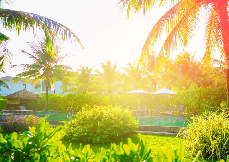 Swimming pool with turquoise water surrounded by palm trees in tropical resort. Swimming pool on exotic villa at beachfront. Private pool in tropical hotel resort. Sunlight in pool with palm trees.