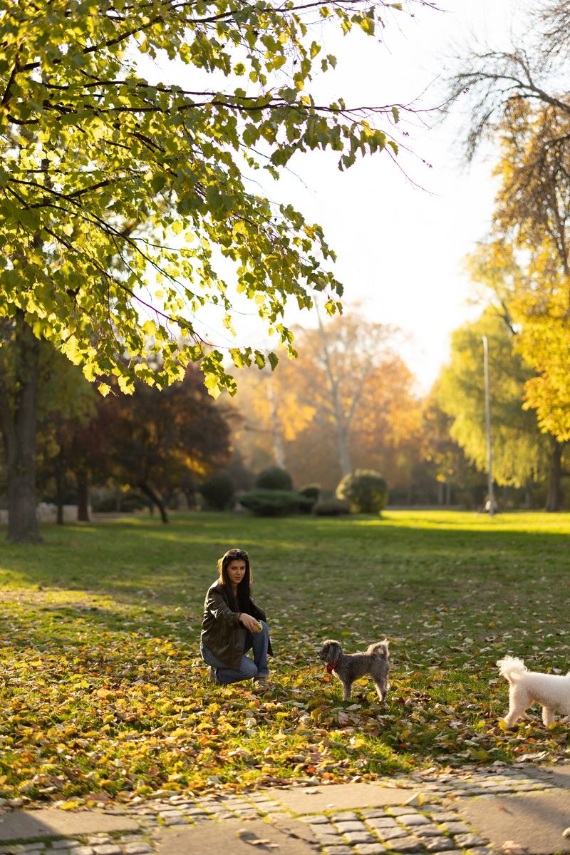 A woman kneels in a sunlit park during autumn, surrounded by colorful leaves as two small dogs explore. The scene captures calm, outdoor leisure, companionship, and the cheerful energy of fall.