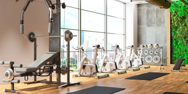 Pilates practitioners engaged in exercise