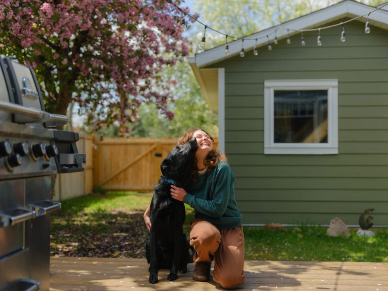 Portrait of cheerful laughing woman playing with the dog on the backyard in spring