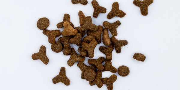 Pile of brown dry pet food kibbles on a white background.