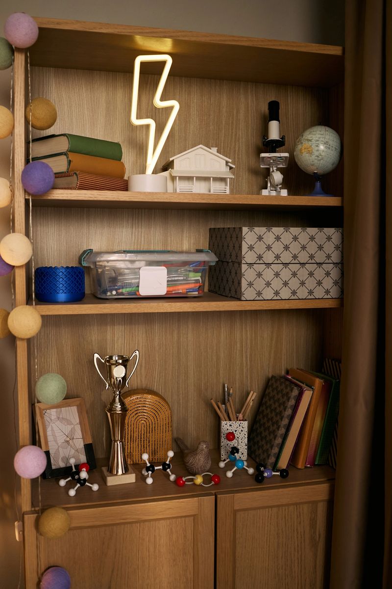 Vertical of Bookshelf holding science supplies, books, molecular models, trophy, microscope, globe, lightning bolt lamp, storage boxes, educational materials suggesting lesson or tutor setting