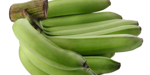 A bunch of fresh green plantains on a white background.
