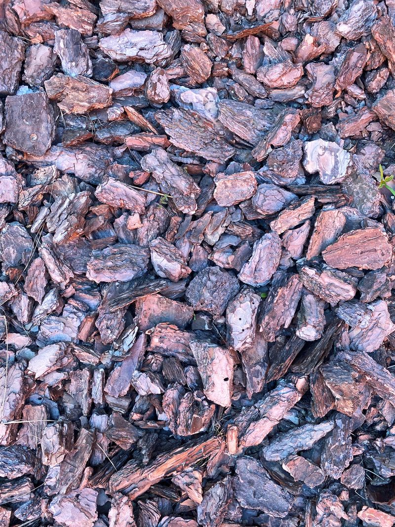 Textured bark mulch is spread across the ground, featuring a variety of wood pieces in earthy tones, creating a natural and organic appearance
