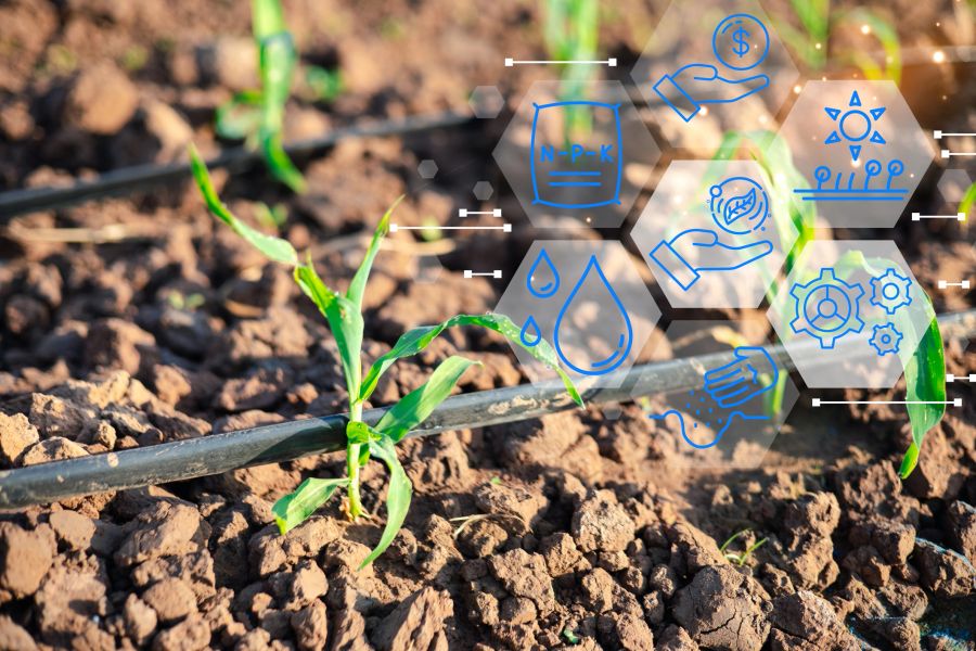 AI for Horticultural Irrigation Management in Australia (2026)