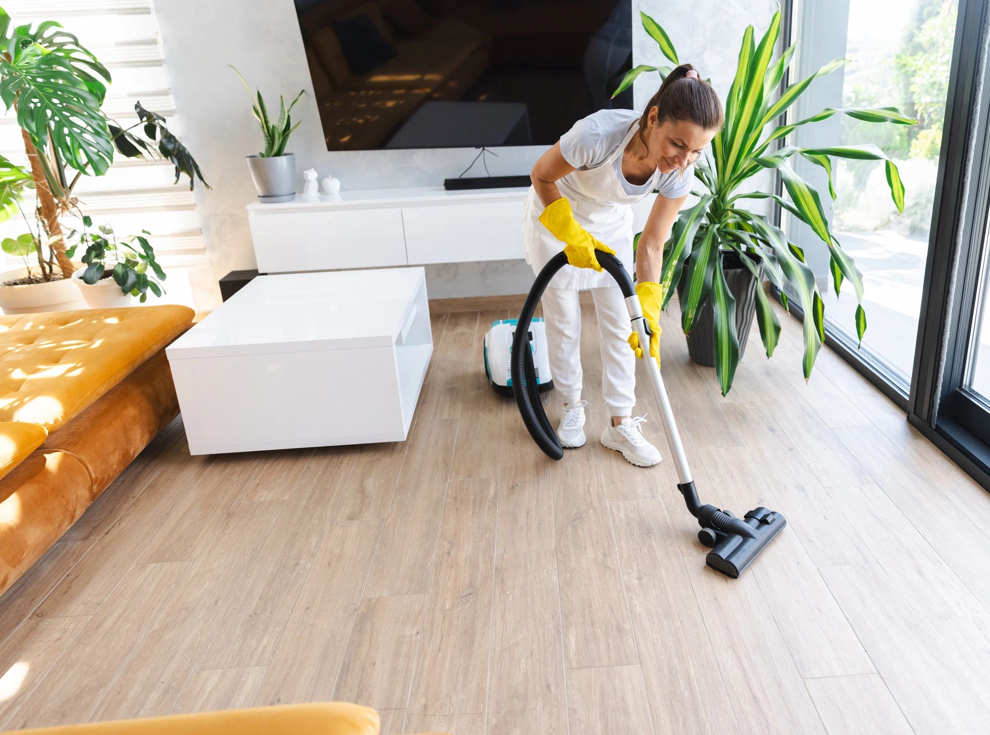 Woman vacuuming wooden floor in a bright living room with plants.