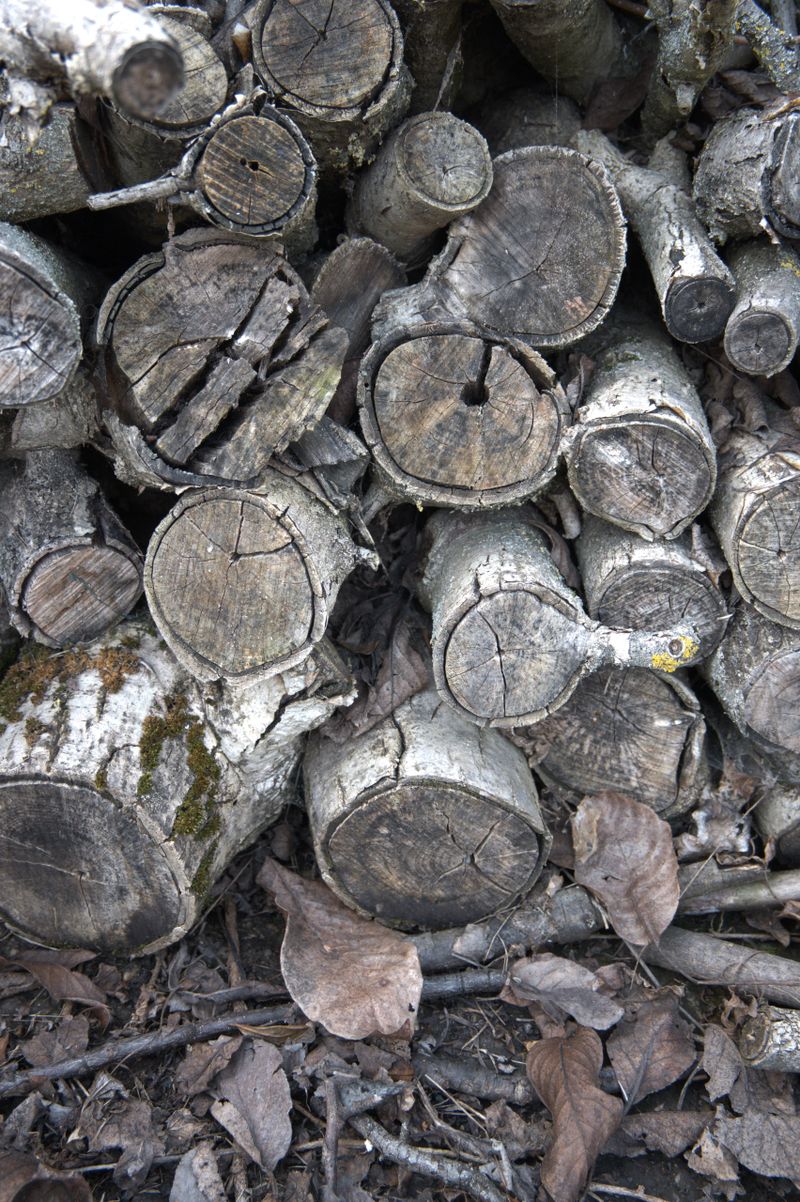 Pile of stacked firewood used as background texture, symbolizing energy resources, preparation, and self sufficiency. High value concept of security, sustainability, and rural lifestyle.