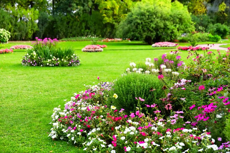 Landscaped garden with vibrant flower beds, blooming plants, and lush green lawn in a sunny park. Bright summer scene with ornamental shrubs and decorative floral arrangements