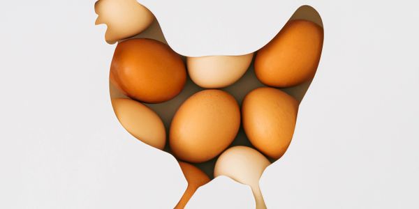 Chicken-shaped cutout showing brown eggs inside.