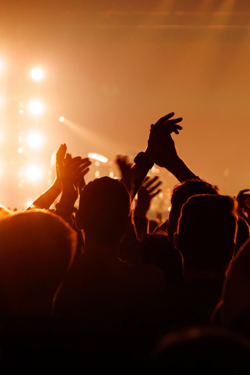 A high-energy shot of a crowd clapping and cheering under warm, orange stage flares. The silhouettes of hands and heads create a sense of scale and excitement.