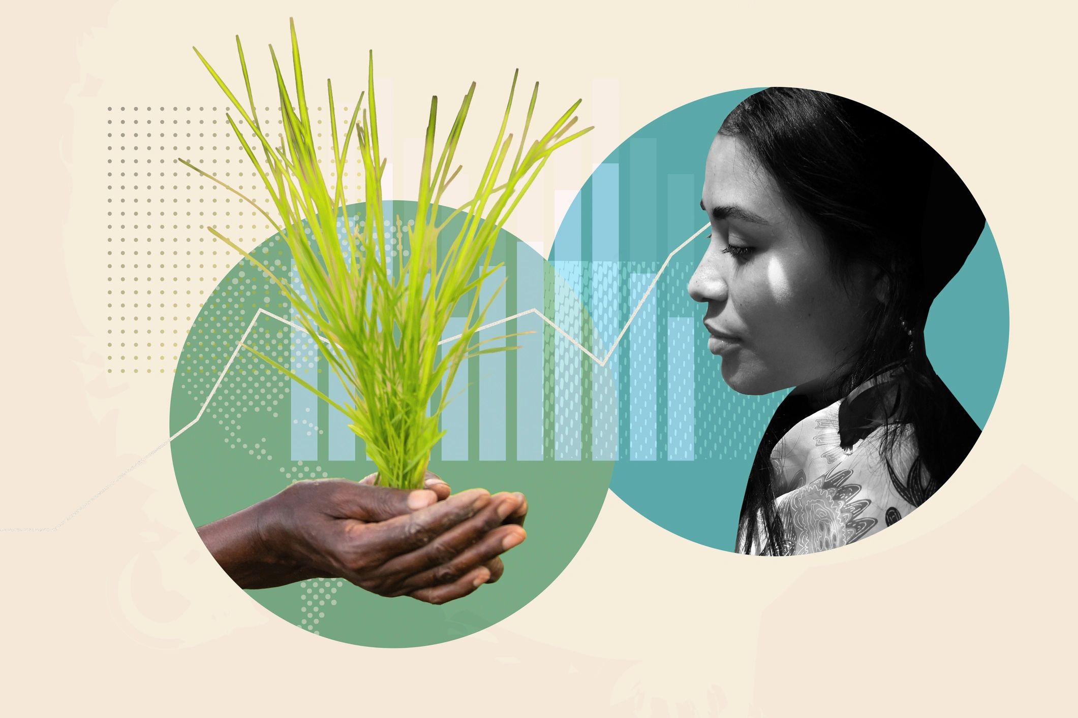 Hands holding green plant with a woman's profile and data graphics in the background.