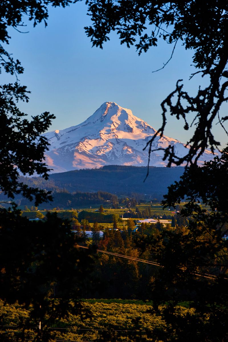 Breathtaking view of Mount Hood in Oregon during sunrise or sunset, framed by tree silhouettes. The serene panorama includes a lush valley and rural scenery, perfect for travel and nature-themed projects.