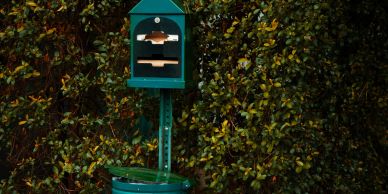 A green bird feeder on a pole surrounded by foliage.
