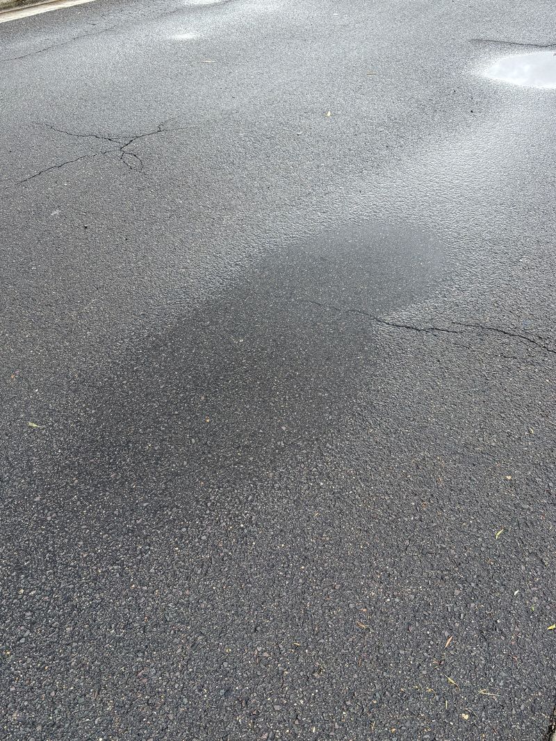 Close-up view of road with asphalt surface.