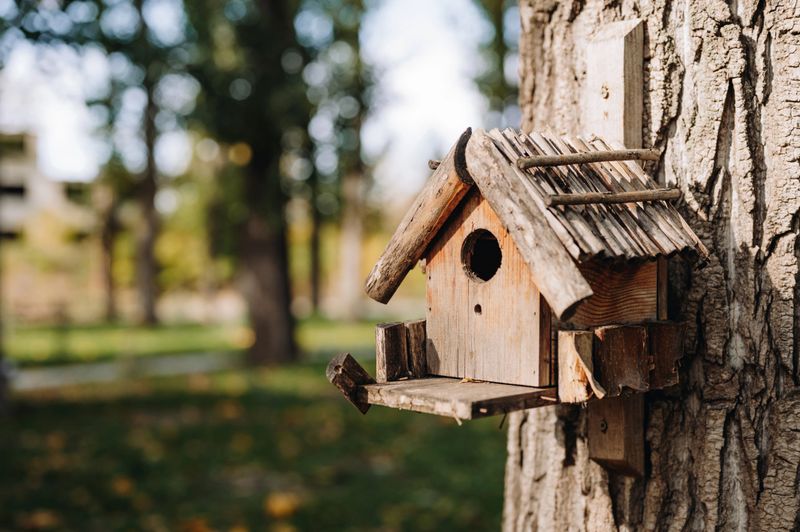 Wooden birdhouse on tree trunk