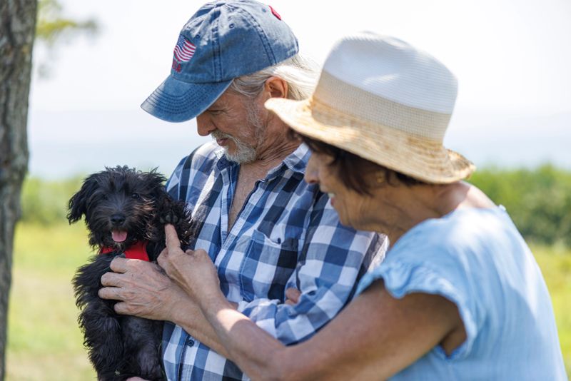 A senior Caucasian couple interacts with a small black puppy outdoors on a sunny summer day. The man, who is seventy years old, holds the dog while his sixty-four-year-old wife smiles and touches its paw. They are in the Poconos region of Pennsylvania.