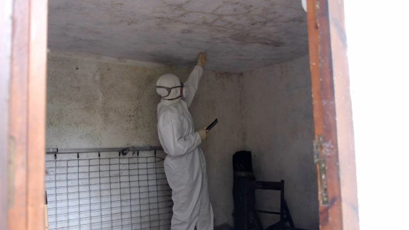 Specialist in hazmat suit inspecting severe mold and mildew growth on ceiling and walls of a contaminated room, performing hazardous environmental remediation survey work