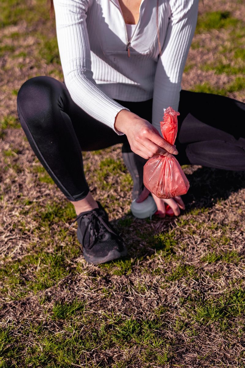 Close-up of a young woman crouching down after picking up her pet's waste with a red plastic bag in a sunny public park.