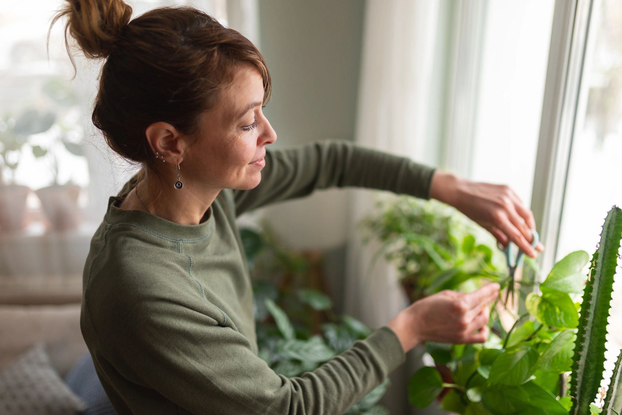 Wearing a green long-sleeved shirt, a woman is seen from a high angle as she uses small blue scissors to prune a Pothos plant. This image emphasizes the maintenance and detailed work required for indoor gardening.