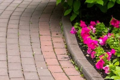 Landscaped garden path with maintained hedges.