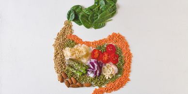 Healthy foods shaped like a human stomach.