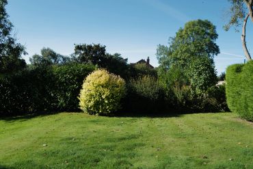 A grassy garden with bushes and trees under a clear blue sky.
