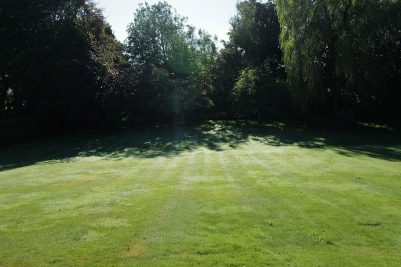 Exterior design and decoration of grassy lawn