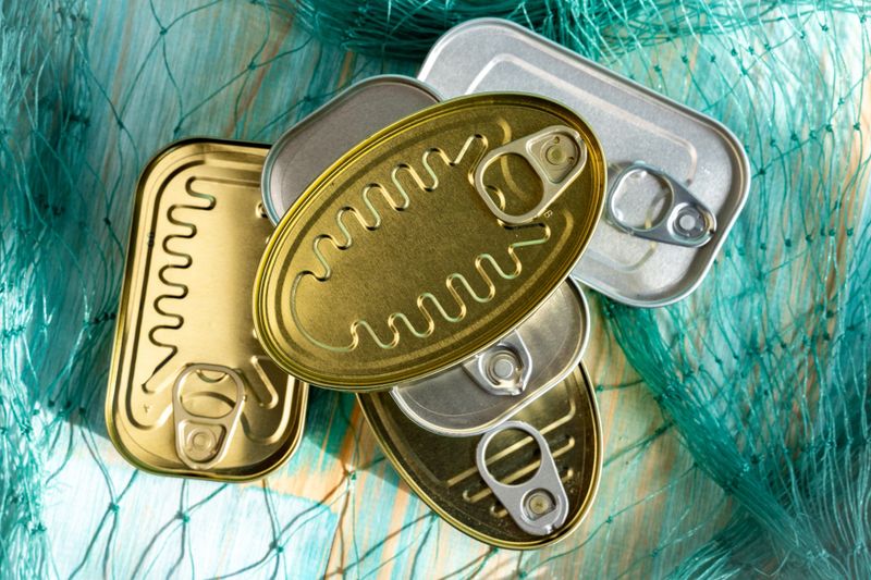 Group of oval and rectangular tin cans for preserved fish or seafood resting on a green fishing net, representing the fishing industry