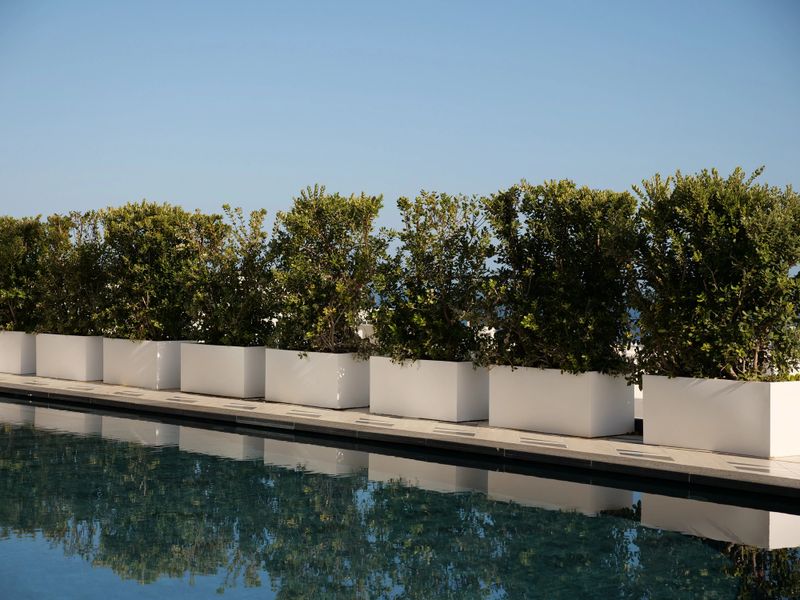 Modern rooftop infinity pool with turquoise water. A row of minimalist white planters with lush green hedges lines the edge, reflecting in the pool. Clear blue sky and ocean views in the background.