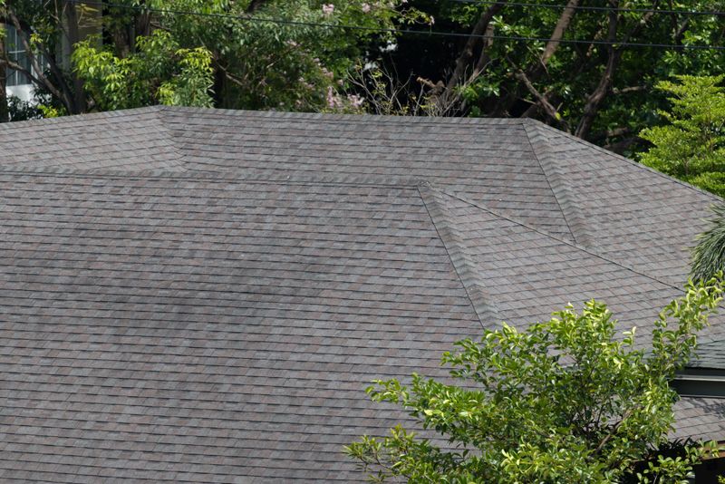 grey and black roof shingles of house among trees. dark asphalt tiles on the roof. Aerial view