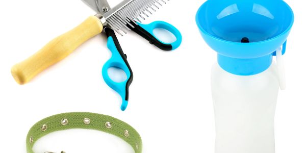 Pet grooming tools including comb, scissors, collar, and shampoo bottle.