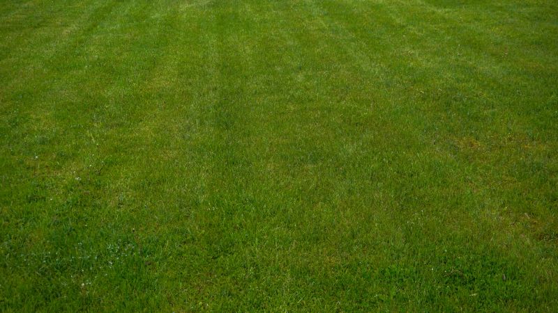 Freshly mowed lawn with neat, precise mowing patterns from lawn mower. Gardening, landscaping, and natural outdoor spaces. Sense of serenity and neatness.