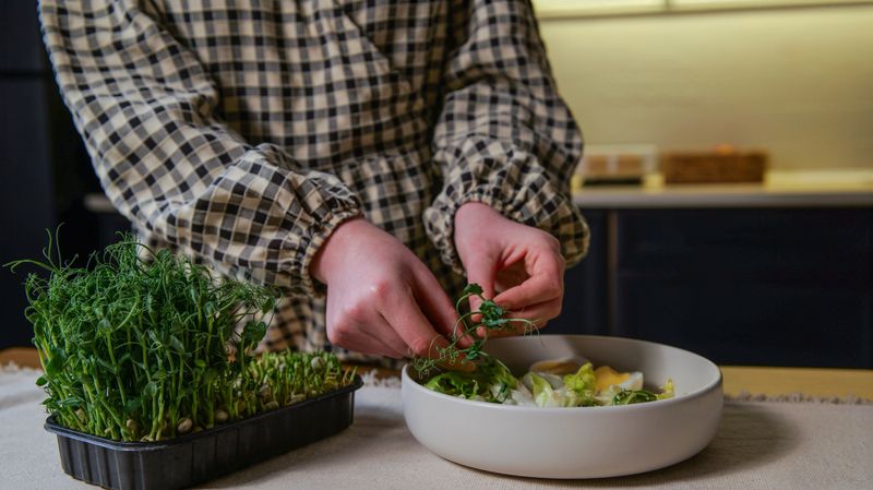 Hands carefully adding delicate microgreens to a vibrant salad bowl containing lettuce and sliced eggs, showcasing a fresh and nutritious meal preparation