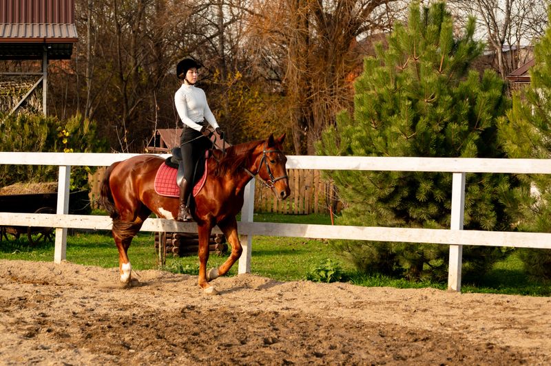 Woman in black hat and white shirt rides brown horse in outdoor arena, with trees and a wooden fence visible in the background