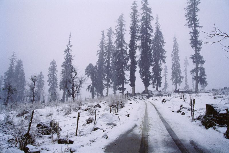 Snow is a form of precipitation consisting of ice crystals that form in freezing temperatures, usually when water vapor in the atmosphere turns directly into ice. It is a vital component of the Earth's climate system, covering roughly 44 million square kilometers of the Northern Hemisphere during winter and acting as a crucial,, natural freshwater reservoir.
