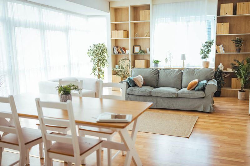 Sunlit open-plan living and dining area featuring a comfortable gray sofa, wooden dining table, built-in shelving and lush indoor plants for a cozy, modern home interior and relaxed atmosphere.