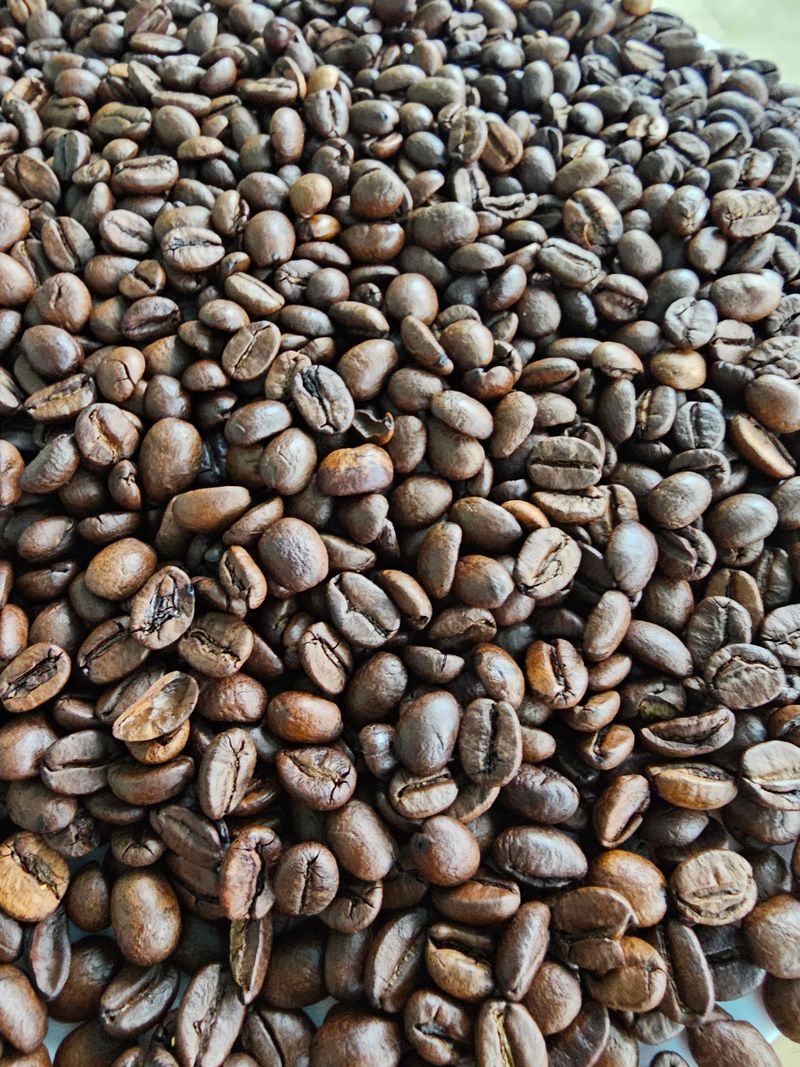 Roasted coffee beans arranged on a flat surface ready for brewing or grinding at a coffee shop