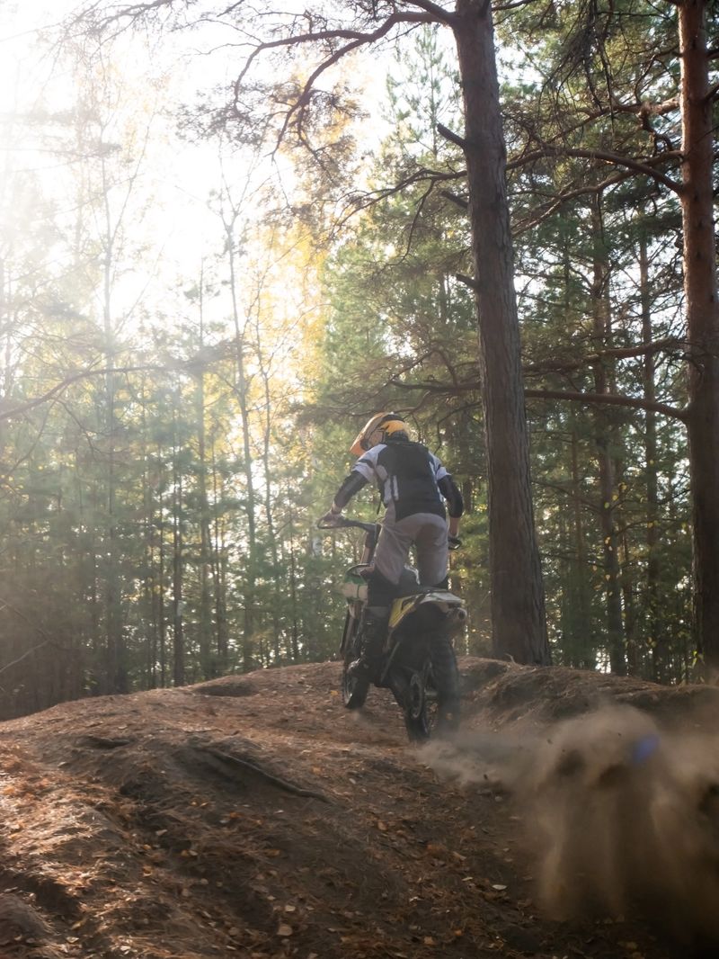 Motorcyclist riding dirt bike on forest trail. Man driving enduro motorcycle through autumn woods. Extreme sports, off road adventure, speed, adrenaline, outdoor recreation concept.