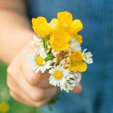 Hand holding a small bouquet of yellow and white wildflowers.