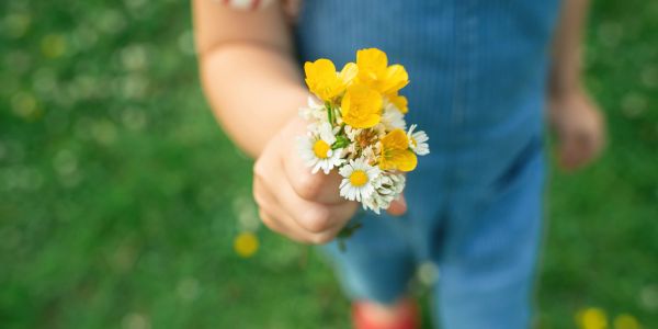 Child holding a small bouquet of yellow and white flowers.