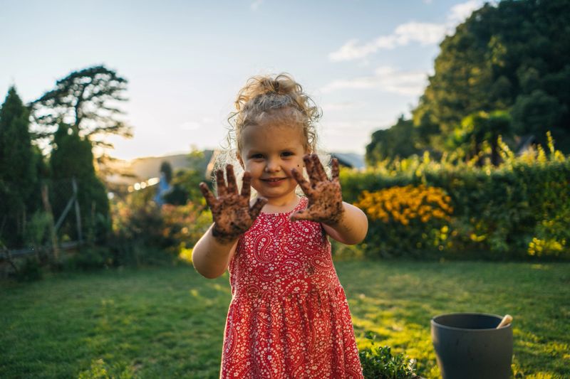 Toddler girl gardening in backyard at sunset, shows dirty hands from planting, Lugano, Ticino Canton