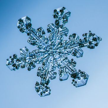 Snow Flake