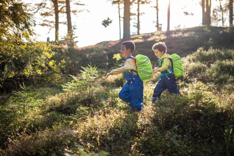 Two boys enjoying nature, running through a sunlit forest with backpacks.