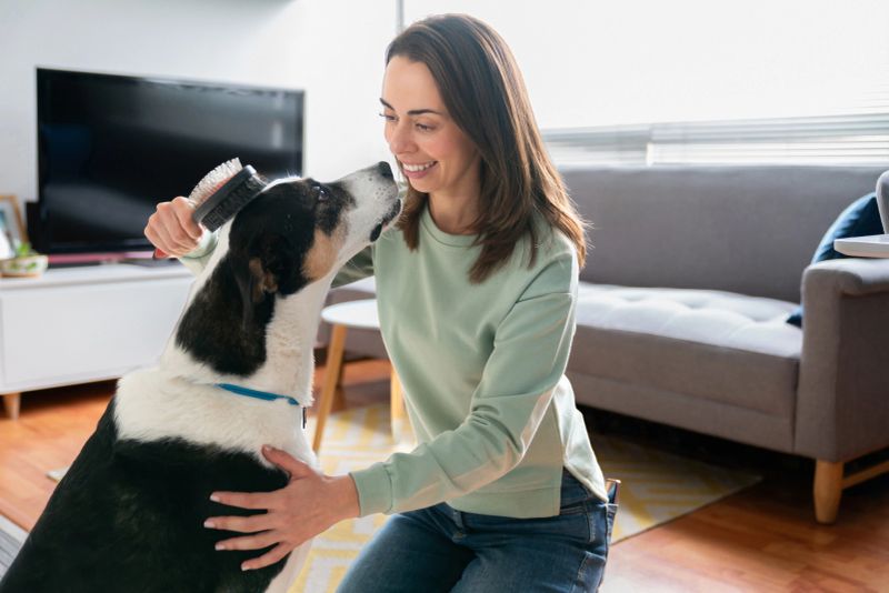 Happy Latin American woman brushing her beautiful mutt dog at home