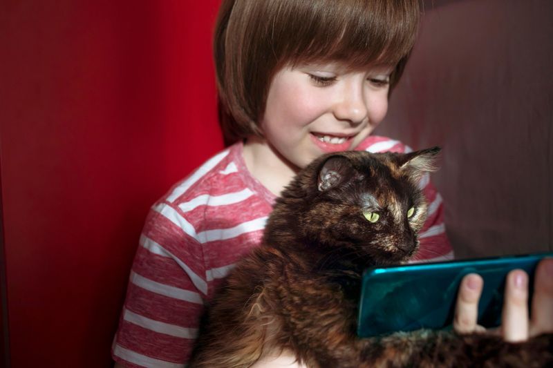 Boy and cat playing a mobile game designed for pets, sharing a fun and curious moment together. Playful side of pet parenting and the joy of discovering new ways to bond with a furry friend.