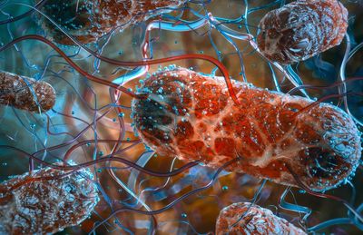 Close-up digital illustration of bacteria with flagella.