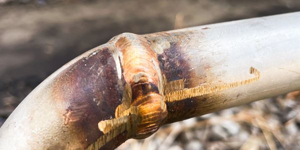 Close-up of a metal pipe weld showing discoloration and texture.