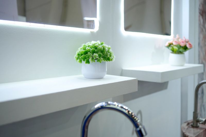 This high-resolution photograph captures a clean, minimalist bathroom interior, featuring a lush green potted plant in a glossy white ceramic pot resting on a floating white shelf. The backdrop includes backlit LED mirrors and a sleek chrome faucet, emphasizing a modern, hygienic aesthetic. The small decorative plant adds a touch of natural freshness to the bright, neutral space, ideal for themes of bathroom design, wellness, and minimalist home decor.